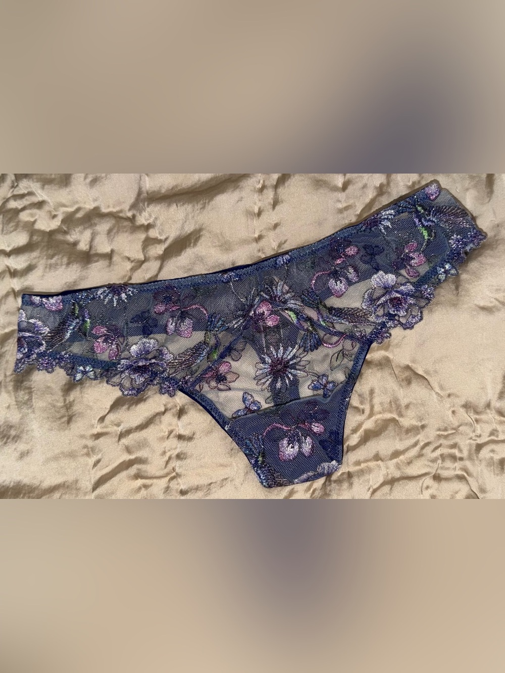 Victoria’s Secret hummingbird embroidery panties